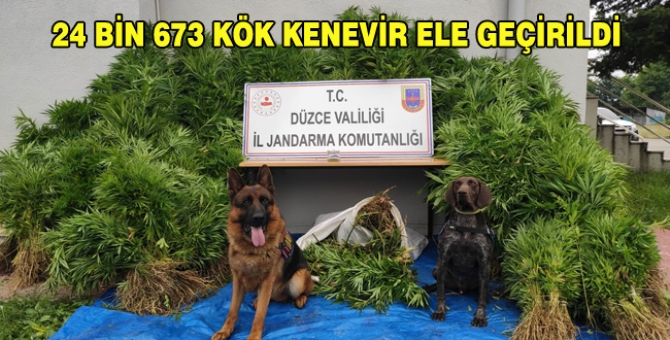 12 Kg Kubar Esrar Maddesi Ele Geçirildi