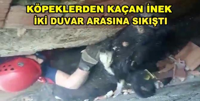 İki Duvar Arasına Düşerek Sıkıştı