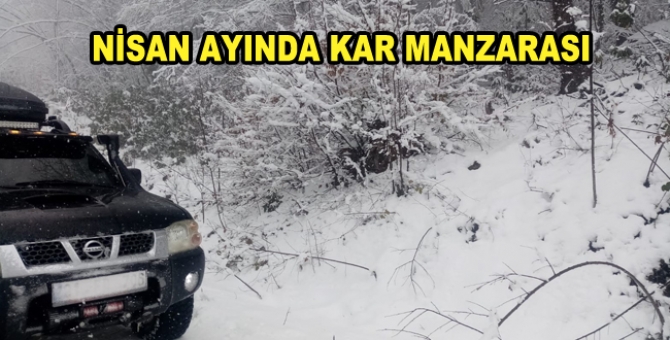 Baharı Beklerken Kış Geri Geldi