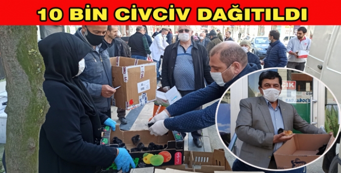 Çiftçilere Civciv Desteği