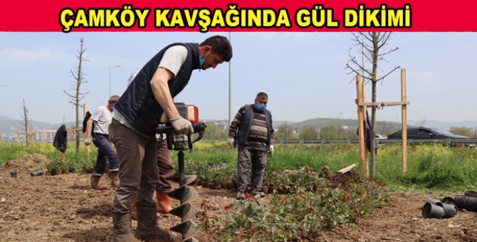 Dörtbir Yanda Düzce İçin Çalışıyorlar