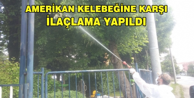 Düzce Belediyesi İlaçlama Yaptı