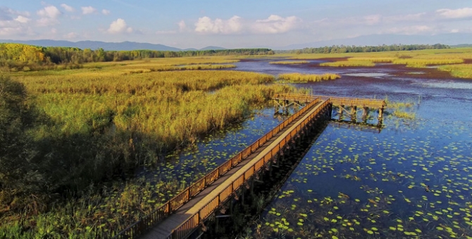Düzce Belediyesi Tanıtım Atağına Geçiyor