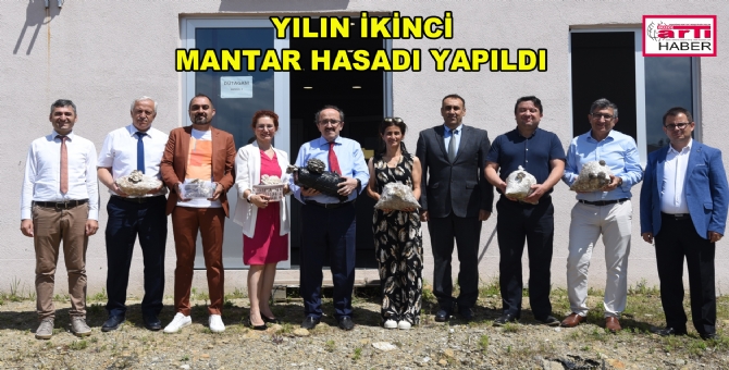 Düzce Üniversitesi’nden Mantar Üretiminde Bir İlk