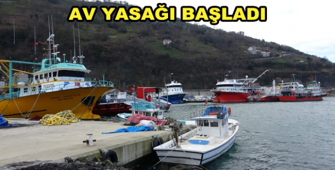 Düzce’de Balık Avı Yasağı Başlıyor