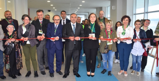 Düzcenin Otları Sağlık Hazinesidir