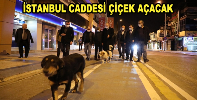 Gece Yarısı Proje Ziyareti