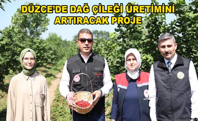 Hacıahmetler Köyünde Hasat
