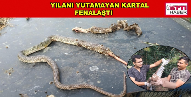 Kartal Tedavi Altına Alındı