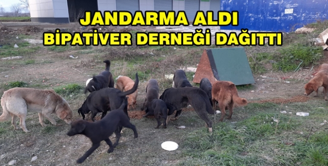 Kısıtlamada Sokak Hayvanlarına Dağıtıldı
