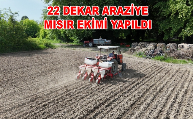 Mısır Ekimi Yapıldı