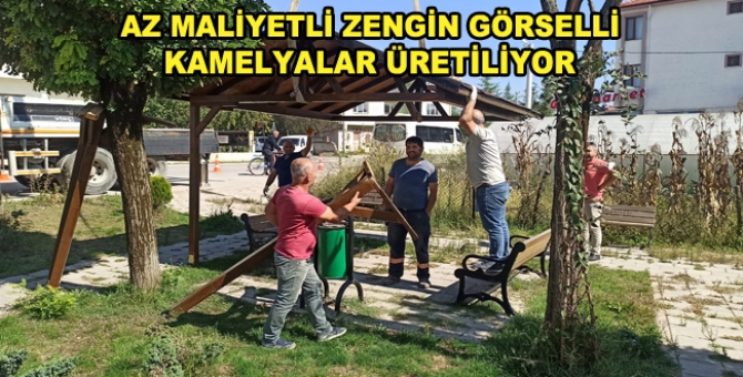 Muhtarlık Bahçelerine Dekoratif Kamelyalar