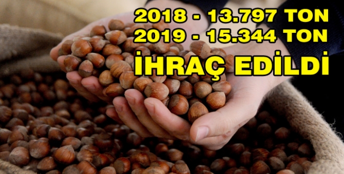 Ocak Ayında 2 Bin 334 Bin Ton Fındık İhraç Edildi