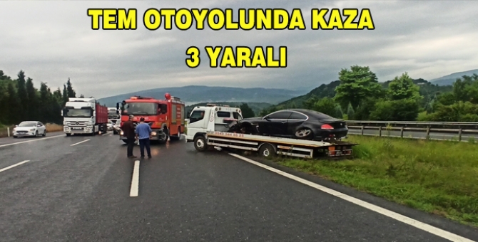 Otomobil Orta Refüje Girdi