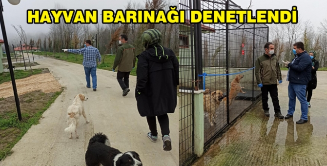 Rehabilitasyon Merkezinde İnceleme Yapıldı