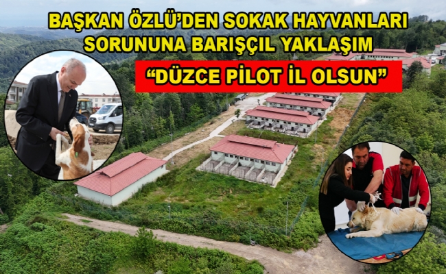 Sokak Hayvanları Yaşasın
