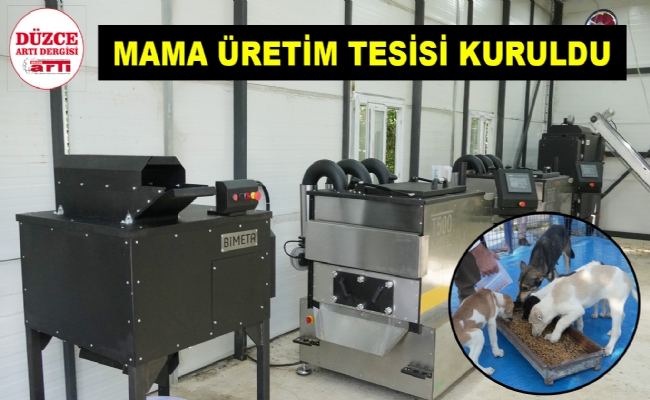 Sokak Hayvanlarına Mama Oluyor