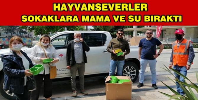 Sokak Hayvanlarına Mama Ve Su Dağıttılar