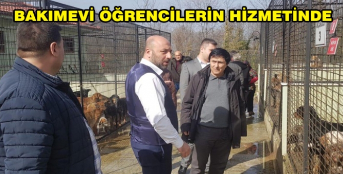 Teorik Bilgiler, Pratikle Pekişecek