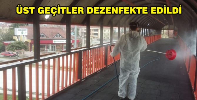 Üst Geçitler Dezenfekte Edildi