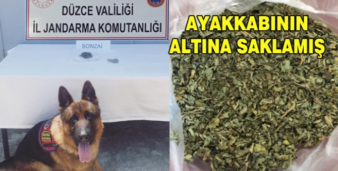 Uyuşturucuyu Dedektör Köpeği Buldu