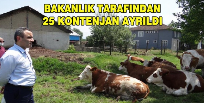 Uzman Eller Projesi Düzce’de Başladı